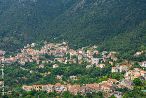Mountain village nestled in green valley surrounded by forest