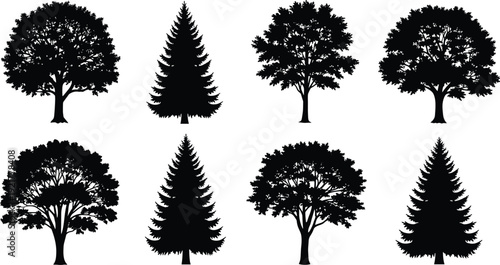 Tree silhouette set with deciduous and pine trees black forest collection nature elements isolated vector illustration landscape design botanical clipart