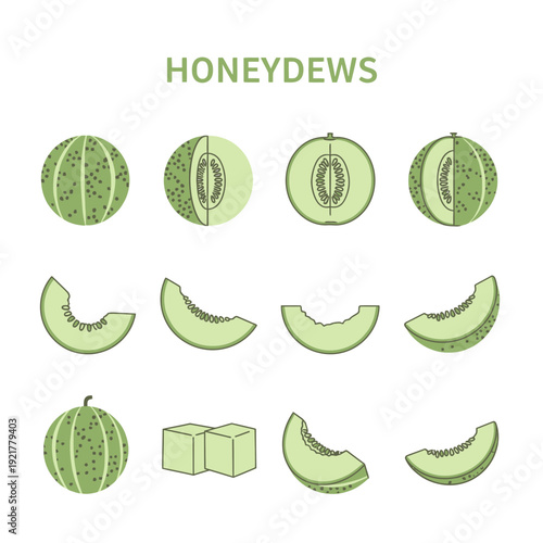 Illustration set of green honeydew melon representations showing whole halved sliced and cubed forms