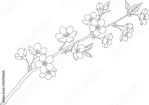 Vintage floral illustration featuring a blossoming cherry tree branch with spring flowers and leaf ornaments in a decorative nature pattern design