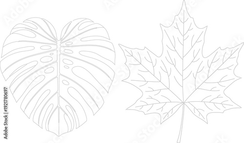 A seamless vintage vector pattern featuring black and white leaf and floral silhouettes designed as an elegant nature illustration for wallpaper or art decoration