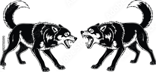 Two Snarling Black and White Wolves Facing Each Other in Aggressive Stance Vector Illustration for Tattoo Design Esports Logo or Fierce Rivalry Concept