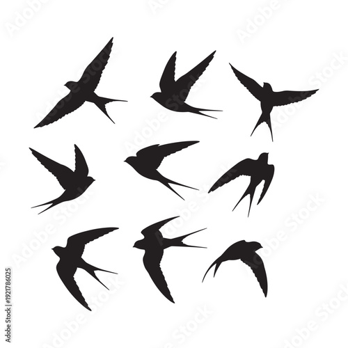 Black silhouettes of various species of swallow birds flying in different poses vector illustration.