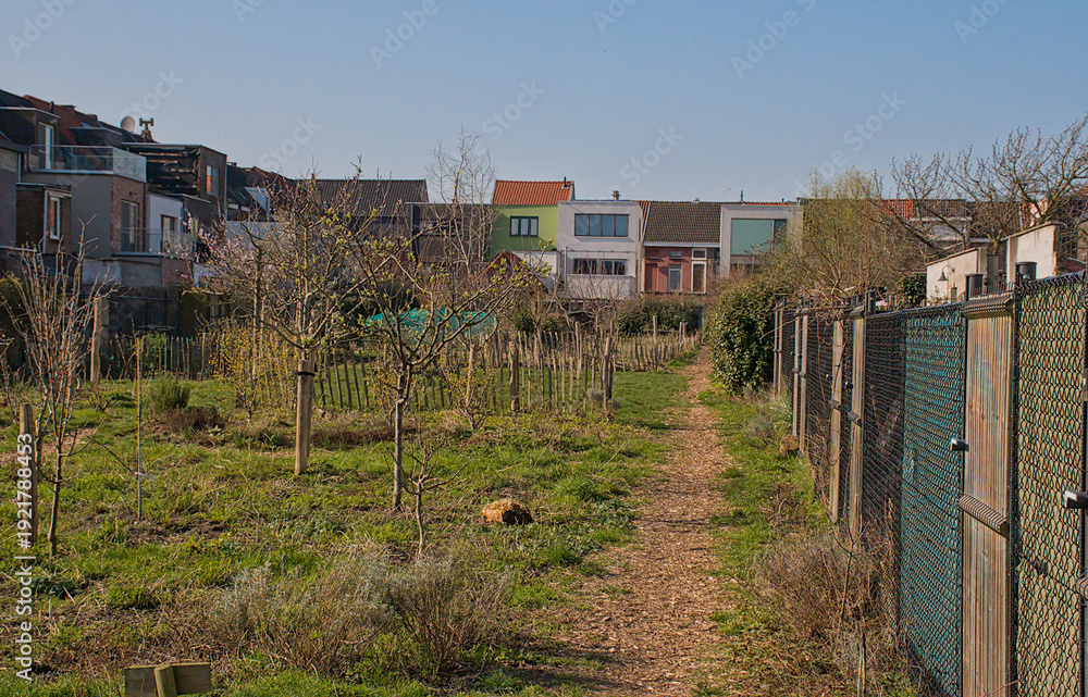 Fototapeta premium Boerenhof, community garden in Rabot neeighborhood in spring, Ghent, Flanders, Belgium 