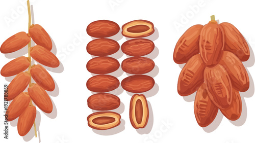 Assortment of ripe brown dates are shown hanging on stems and separated into individual whole and halved forms for display.