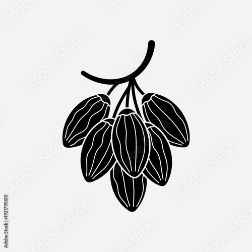 Cocoa Bean Pod Vector Illustration – Hand Drawn Chocolate Cacao Plant Line Art Icon