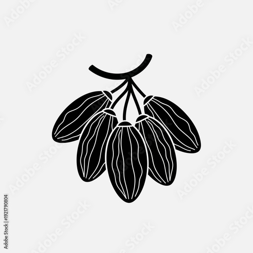 Cocoa Bean Pod Vector Illustration – Hand Drawn Chocolate Cacao Plant Line Art Icon