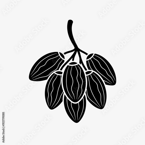 Cocoa Bean Pod Vector Illustration – Hand Drawn Chocolate Cacao Plant Line Art Icon