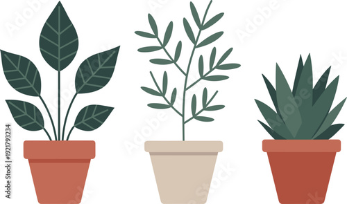 Flat design vector illustration of three diverse indoor houseplants in terracotta pots for modern home decor concepts.