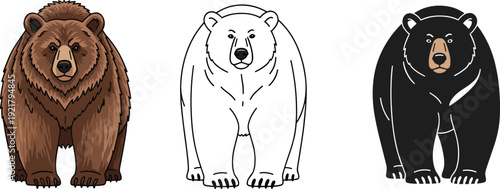 Bear animal illustration set showing colored, outline, and silhouette styles for wildlife nature mascot cartoon vector design use