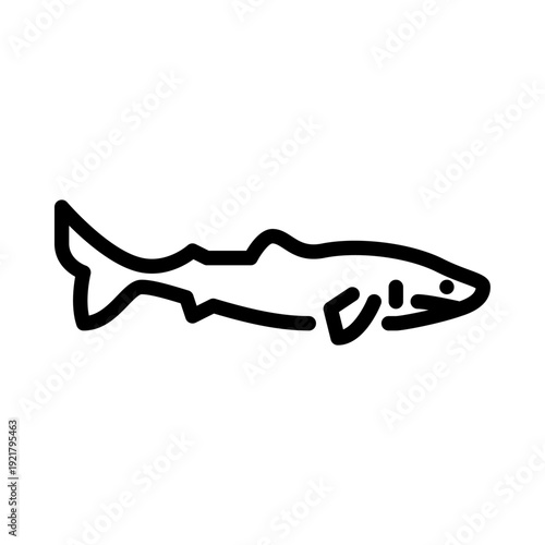 Greenland shark outline icon. Greenland shark line illustration.