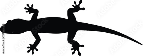 Lizard silhouette vector illustration, black gecko reptile side view icon design, isolated animal shape with detailed tail and feet on light background