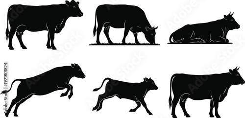 Black cow silhouette set, isolated farm animal vector collection, grazing cattle, running calf, agricultural livestock graphic design elements, rural nature