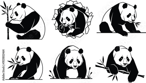 Black white giant panda vector illustration set, cute asian bear silhouette collection, eating bamboo leaves, wildlife nature graphic design elements