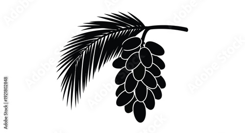 Black silhouette of a pinecone and a palm frond branch