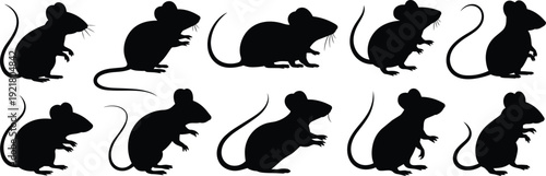 Set of black mouse silhouettes in different poses, isolated vector illustration, perfect for design, Halloween, pest control, and education