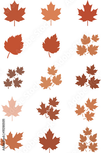 Collection of various autumn maple leaves in shades of orange red and brown