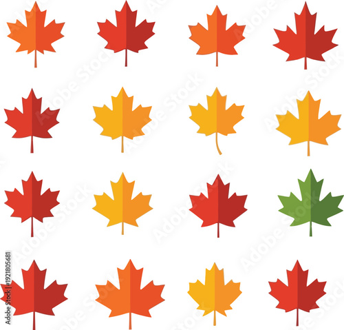 Vibrant collection of autumn maple leaves in various colors