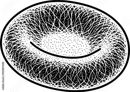 Isometric red blood cell with a detailed texture, hematology concept.