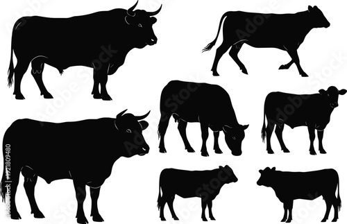 Set of cattle silhouettes including bulls and cows, farm livestock vector collection, and black agriculture animal icons.