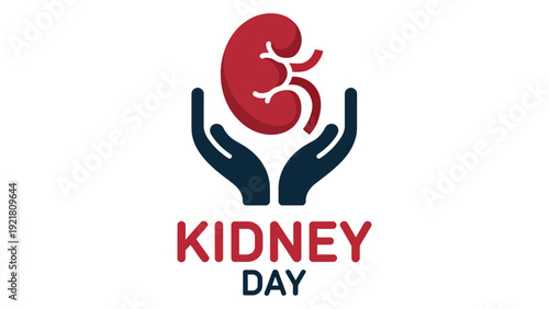 kidney day awareness concept with human hands holding red kidney organ icon on white background for medical and renal health campaign