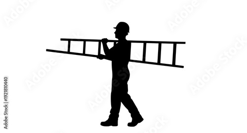 A high-quality minimalist overhead shot of fresh organic vegetables arranged on a rustic wooden tabletop from a premium stock photography collection