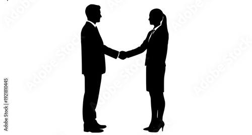 A high-quality minimalist overhead shot of fresh organic vegetables arranged on a rustic wooden tabletop from a premium stock photography collection