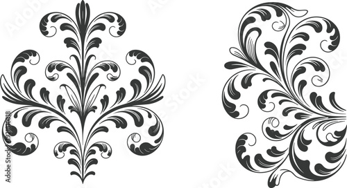 Elegant vintage floral ornament design, black decorative baroque damask pattern with classic swirl leaf elements isolated on white background