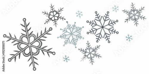 A beautiful collection of various snowflakes in intricate and delicate designs.