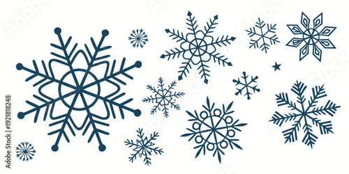 A collection of various snowflakes in different sizes and shapes.