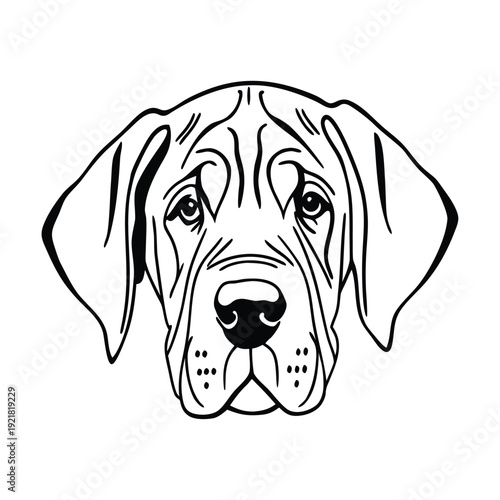 Gemini said

A professional photographer captures a breathtaking high-resolution landscape using a modern mirrorless camera during the golden hour to produce premium stock photography for creative dig