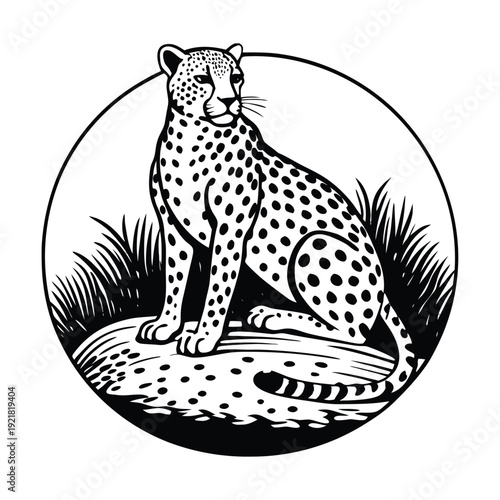 Gemini said

A professional photographer captures a breathtaking high-resolution landscape using a modern mirrorless camera during the golden hour to produce premium stock photography for creative dig