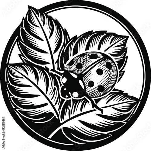 Gemini said

A professional photographer captures a breathtaking high-resolution landscape using a modern mirrorless camera during the golden hour to produce premium stock photography for creative dig