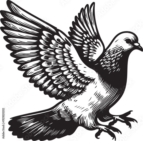 Pigeon dove bird animal sketch engraving generative ai fictional character PNG illustration. Scratch board imitation. Black and white