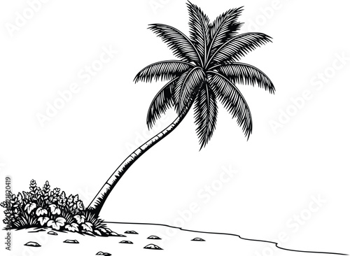 Tilted Palm Tree Black and White Vector Illustration
