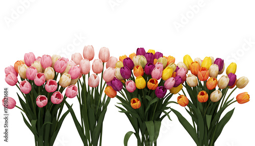 Colorful tulip bouquets in pink, yellow, orange, and purple hues, isolated on white background