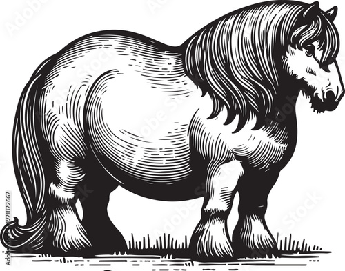  Fat chubby overweight body positive horse with a flowing mane, showcasing its strength and elegance in vintage style sketch engraving generative ai PNG illustration. Scratch board. Black and white.