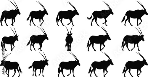 Oryx antelope silhouette collection featuring walking poses isolated on light background wildlife vector illustration set bundle
