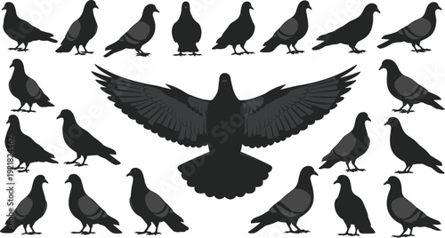Realistic pigeon silhouette collection featuring flying standing and wings spread poses isolated on light background vector illustration set design pack bundle