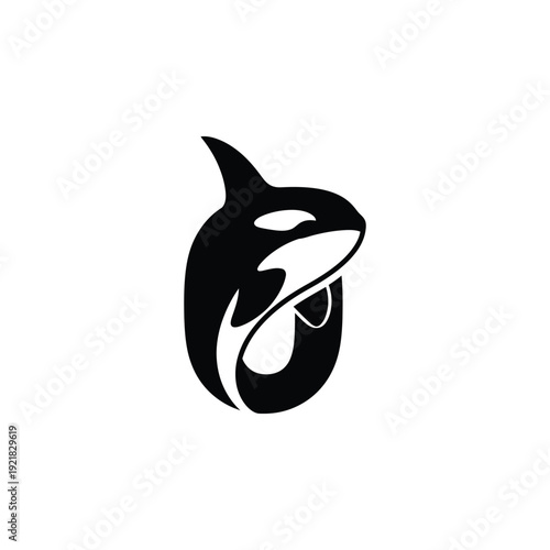 Orca whale portrait illustration on a simple background from a close-up viewpoint
