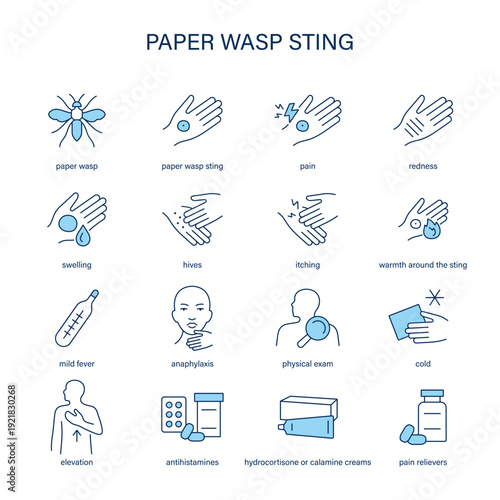 Paper Wasp Sting symptoms, diagnostic and treatment vector icon set