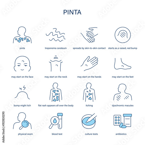 Pinta symptoms, diagnostic and treatment vector icon set