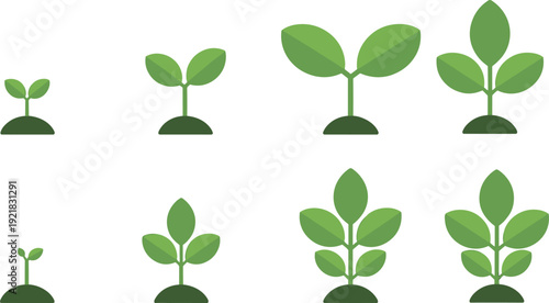 Plant growth stages icon set vector illustration, green sprout to mature plant development isolated on white background for gardening and agriculture concept