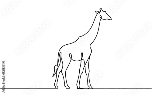 Elegant Single Line Drawing of a Standing Giraffe  African Safari Art