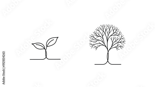 Growth stages of a tree from sprout to mature form silhouette