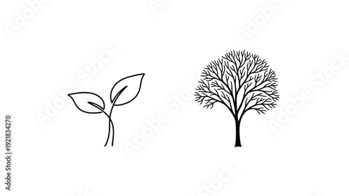 Young sprout and mature tree represented as a striking silhouette