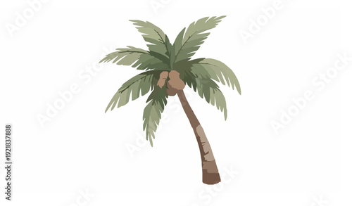 Tropical coconut palm tree watercolor style vector clip art isolated on white background