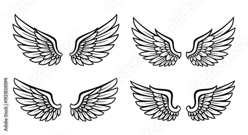 Four pairs of detailed black wings in various positions a striking silhouette