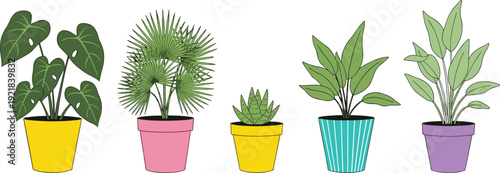 Set of vector house plants, hanging macrame planters, monstera, colorful cacti, snake plant, and botanical silhouettes for home interior decoration