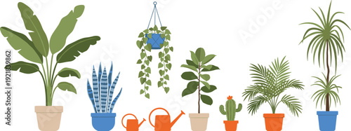 Set of hand drawn vector house plants, hanging macrame planters, monstera, cactus, palm, snake plant, and foliage for home interior decoration